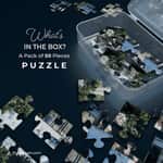 Jain Puzzle – Shree Abu Delwada Tirth - image 2