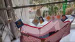 Jain Hangings For Baby Ghodiya/Palana — Photo By Sweta Shah