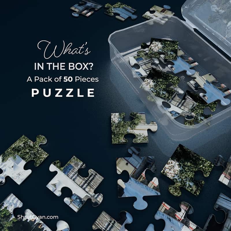 Jain Puzzle – Shree Abu Delwada Tirth - image 2